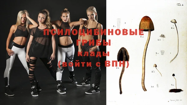 прущие крисы Абаза