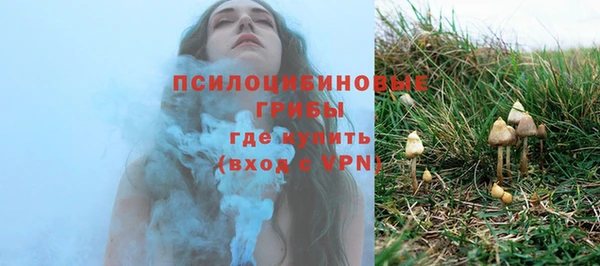 прущие крисы Абаза