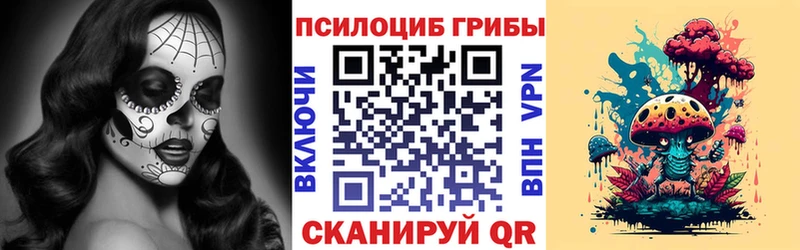 omg   Советская Гавань  Галлюциногенные грибы Cubensis 