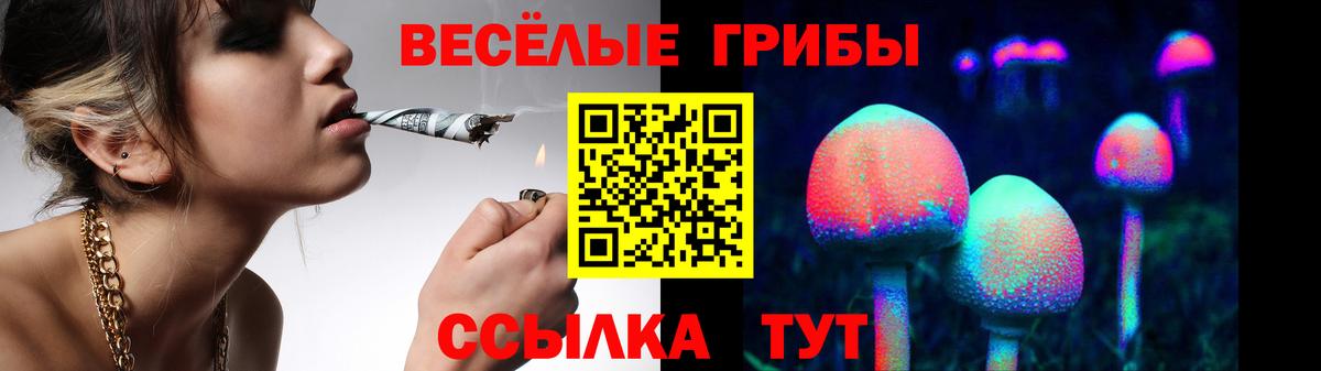 Галлюциногенные грибы ЛСД Советская Гавань