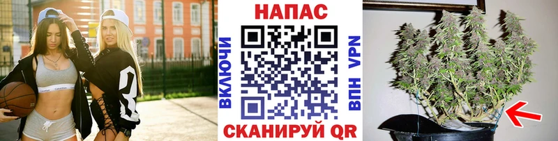 купить наркоту  Советская Гавань  Марихуана индика 